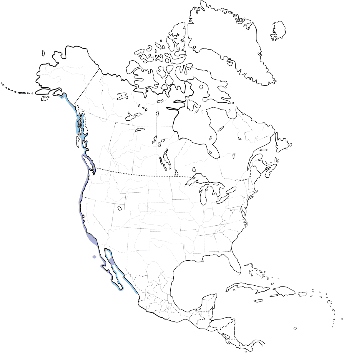 Brandt's Cormorant, Distribution 1