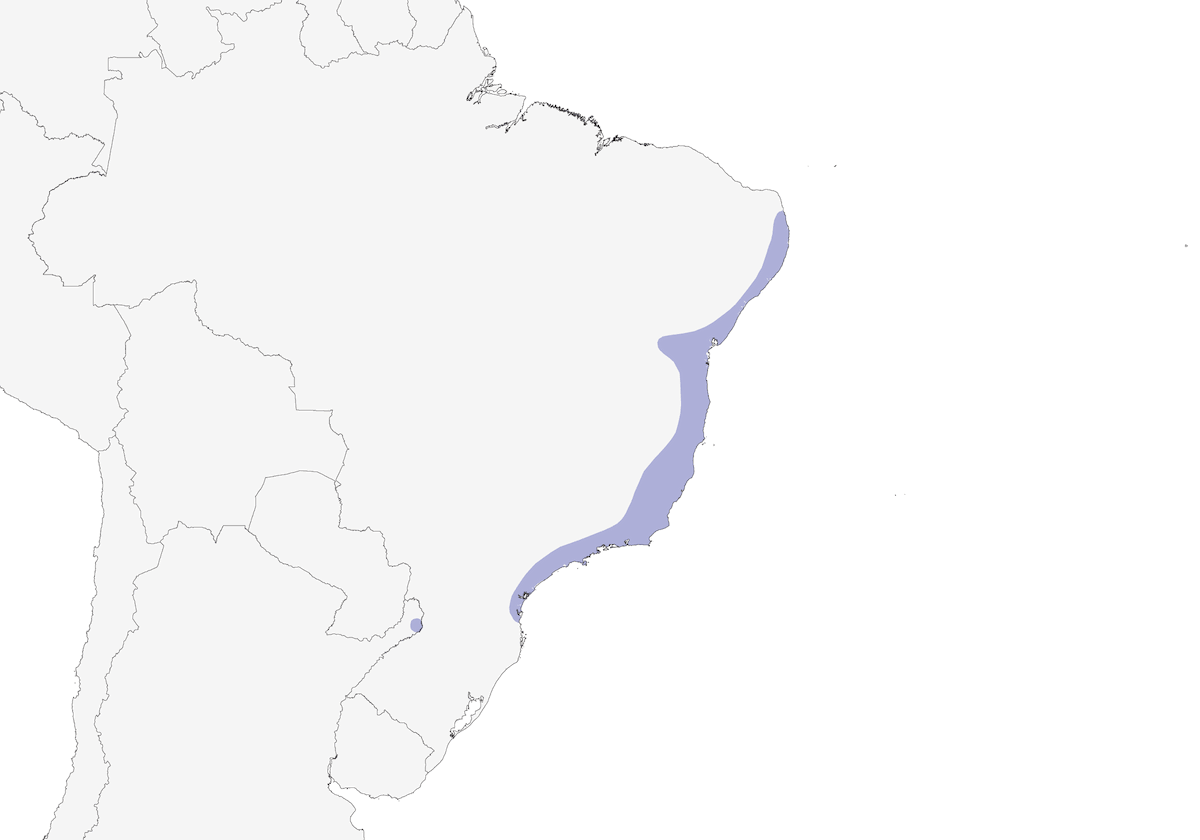 Tangara Brasileña, Distribución 1