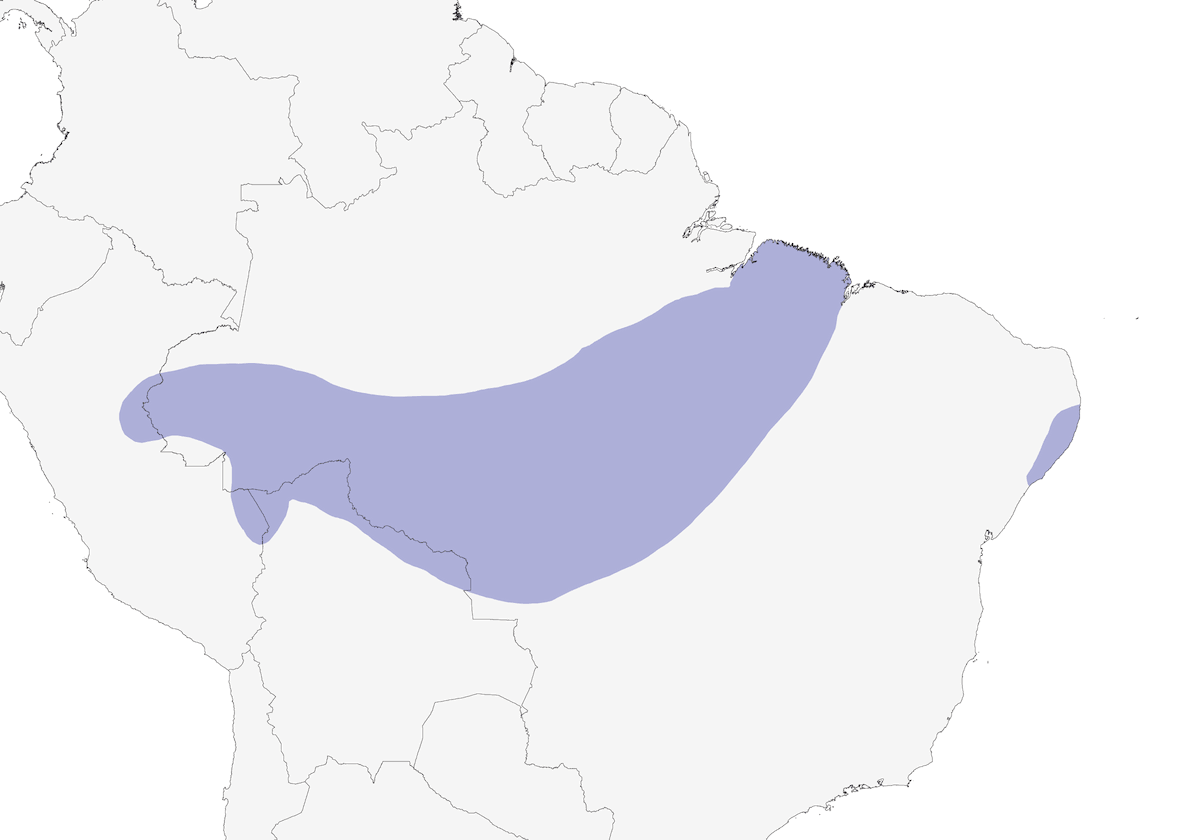 Tinamou brasiliano, Distribuzione 1