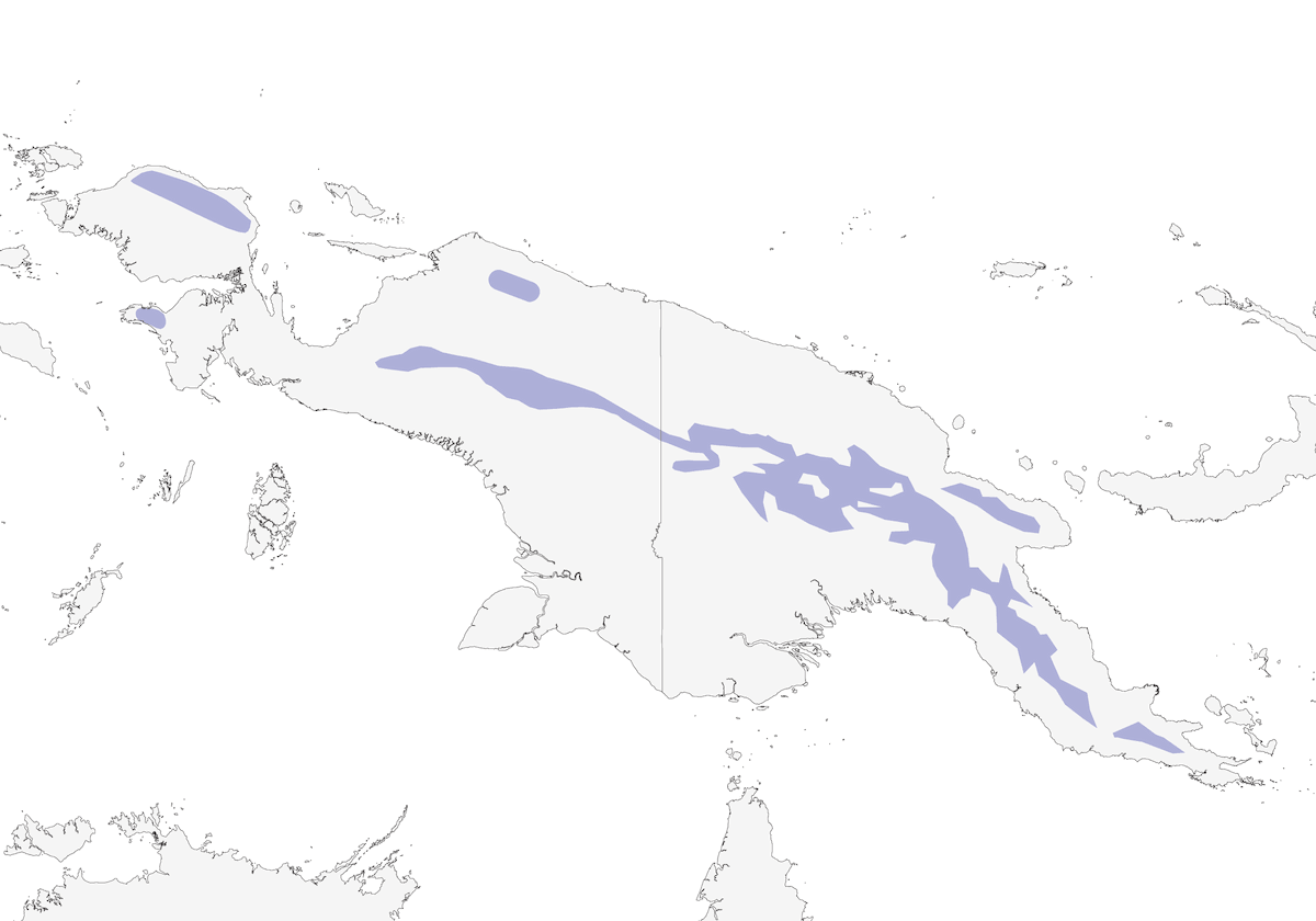 Gerigona Pechiparda, Distribución 1