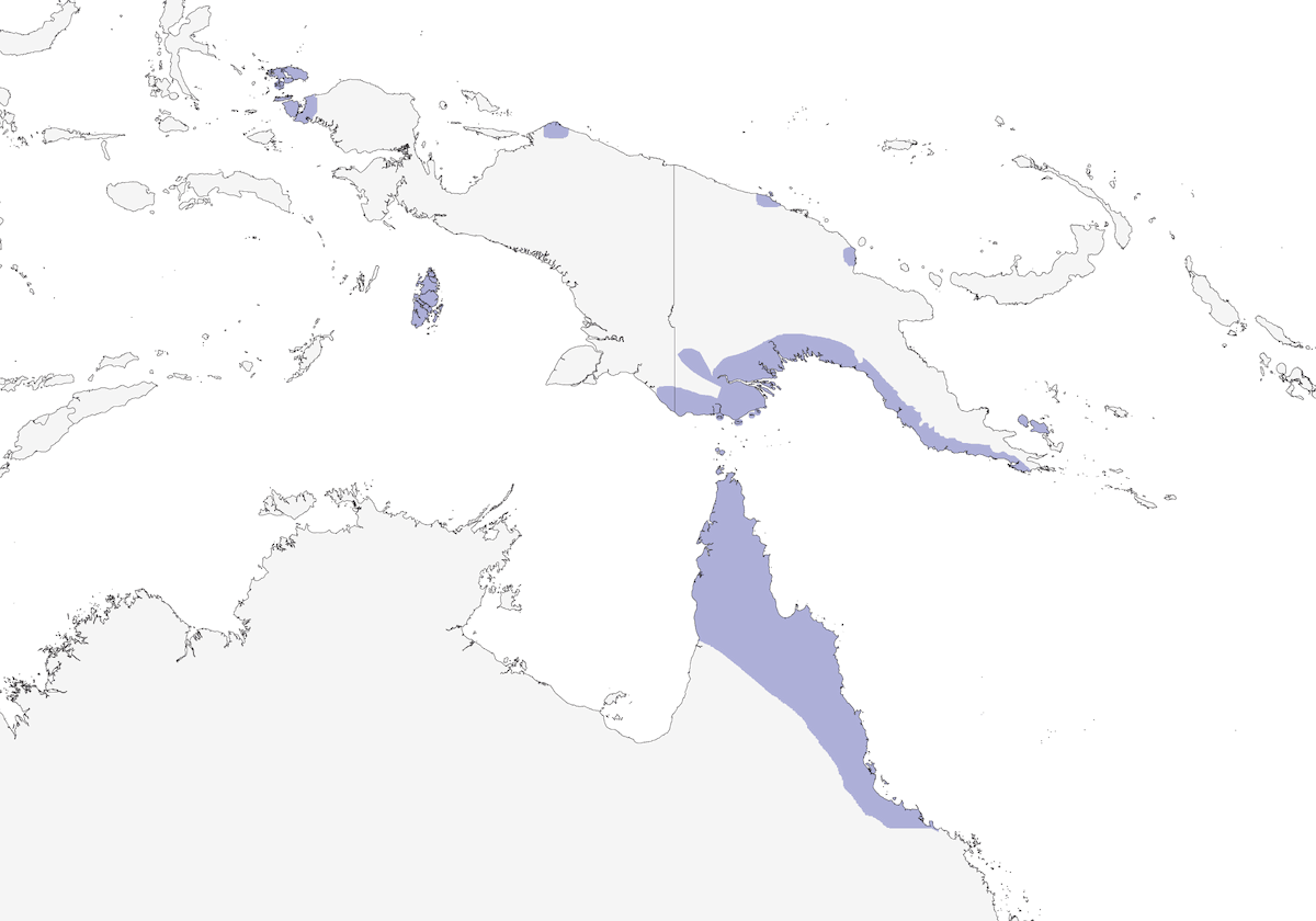 Melífago de dorso pardo, Distribución 1