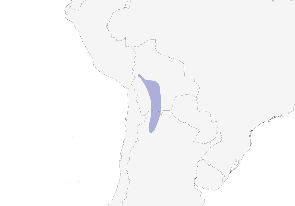 Mimo dorsorossiccio, Distribuzione 1