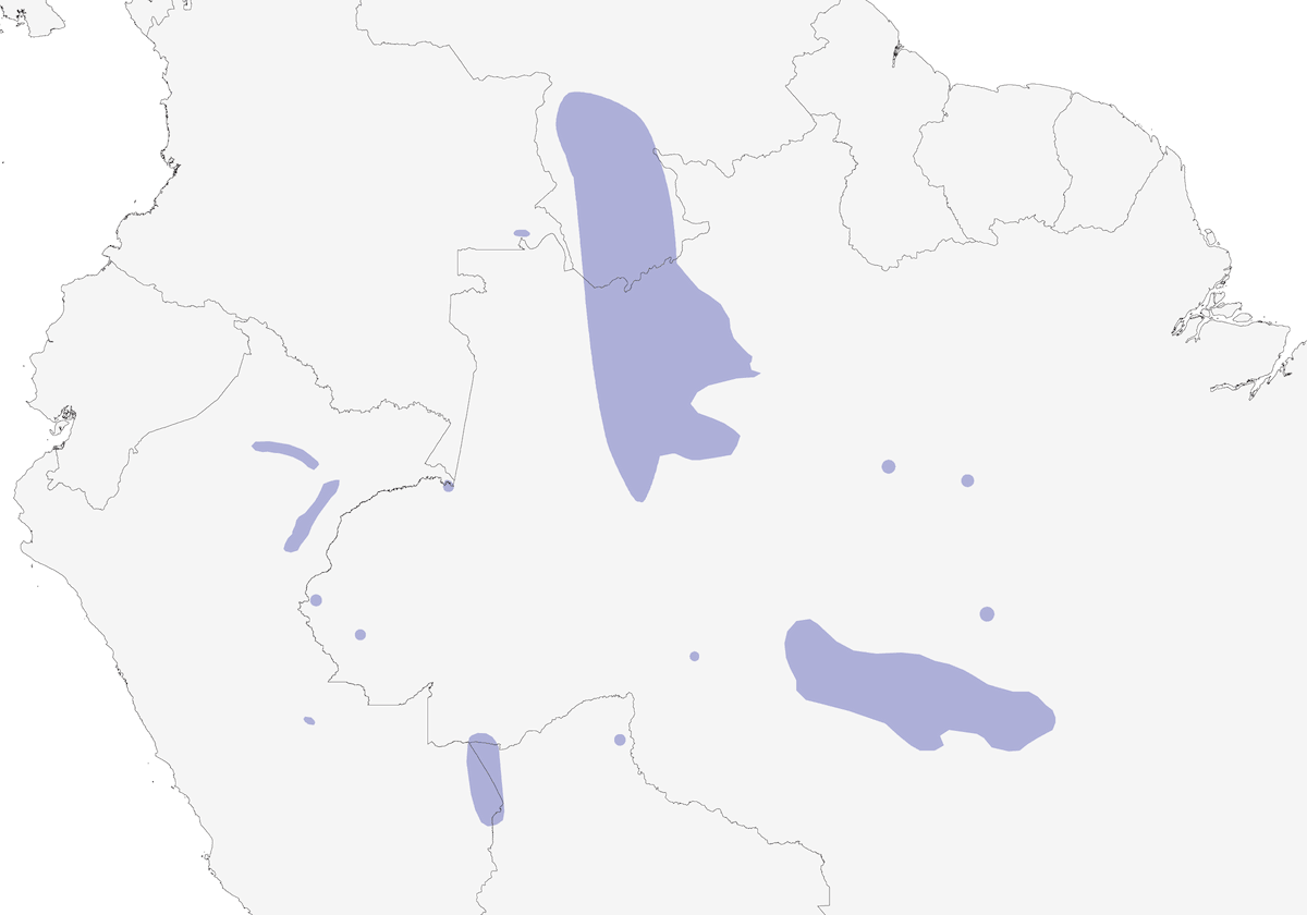 Brown-banded Puffbird, Distribution 1