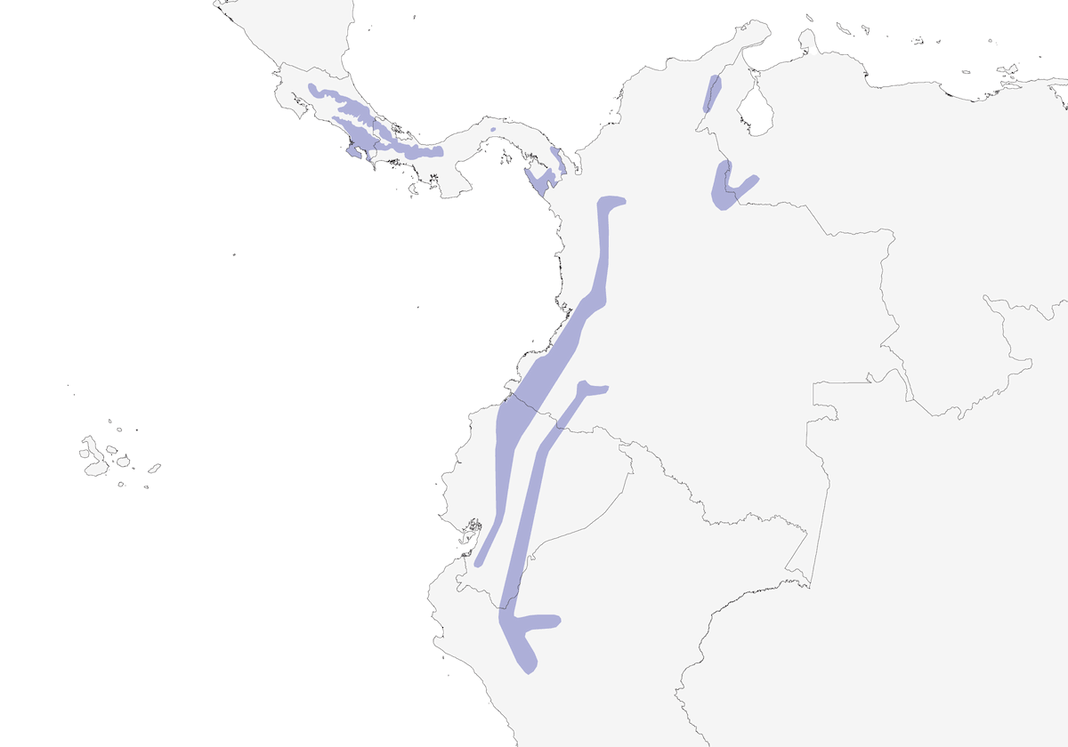 Brown-billed Scythebill, Distribution 1