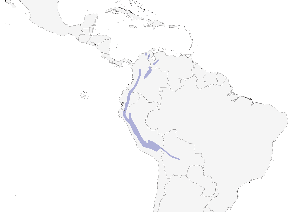 Brown-bellied Swallow, Distribution 1