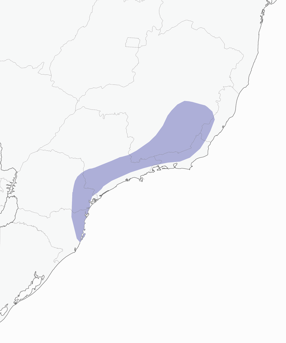 Tangara dal petto bronzeo, Distribuzione 1
