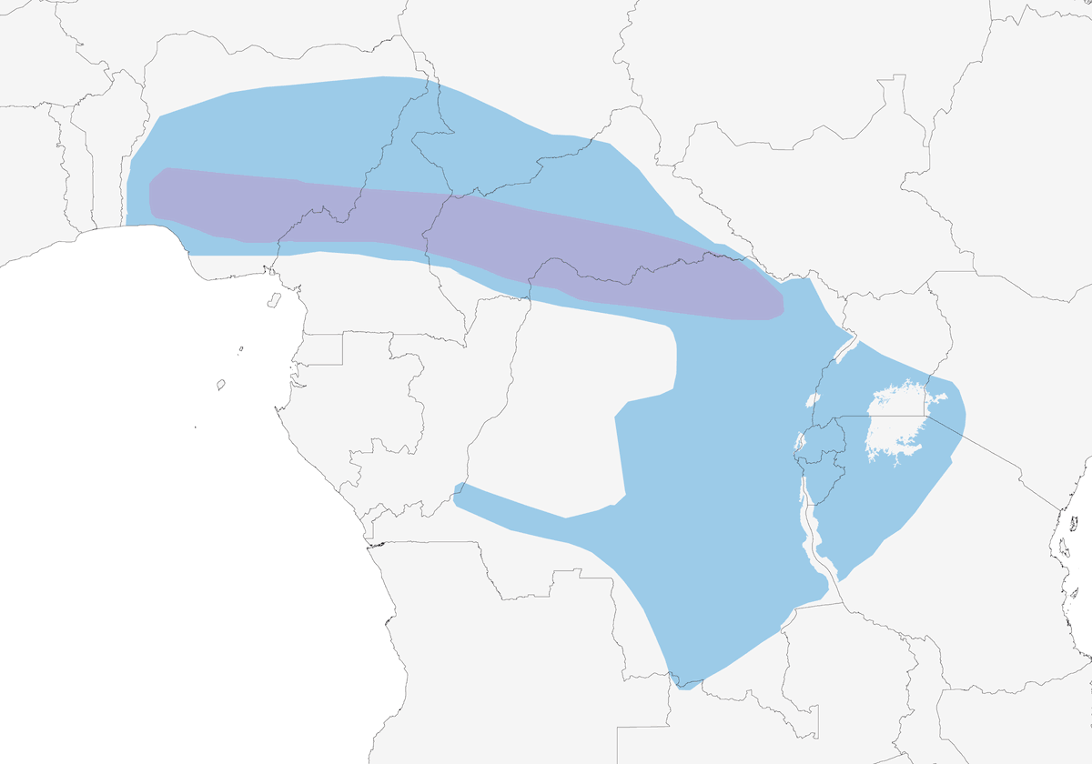 Avefría Pechiparda, Distribución 1