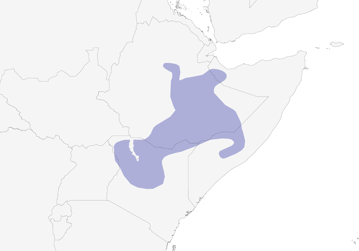 Bristle-crowned Starling, Distribution 1