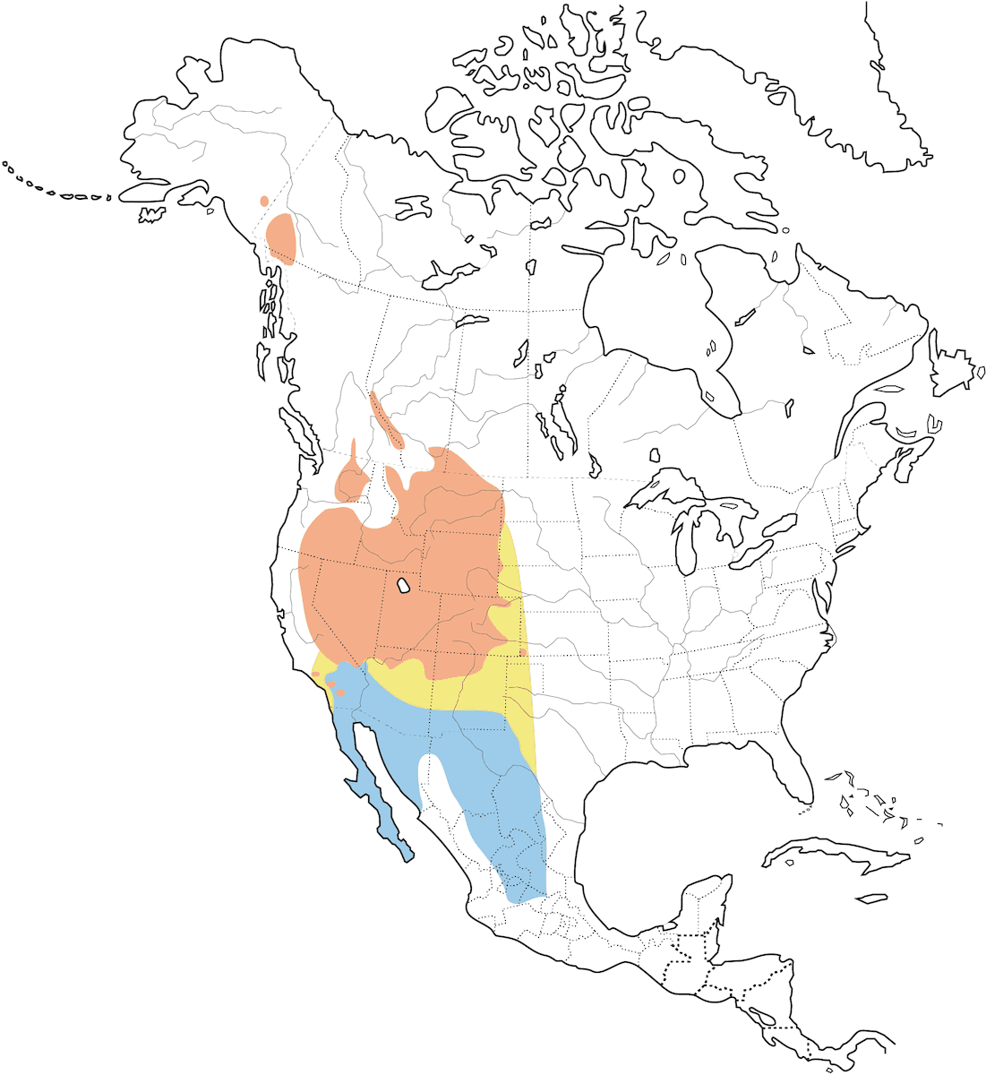 Brewer's Sparrow, Distribution 1