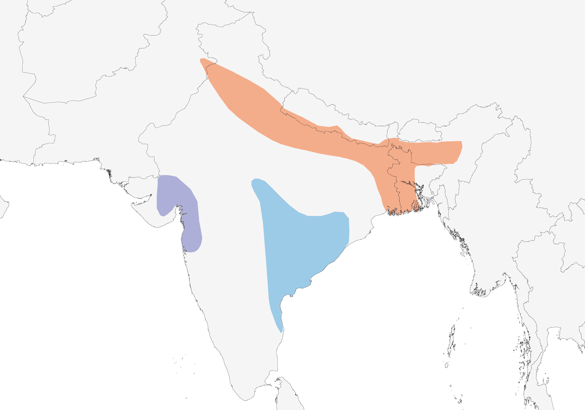 Bristled Grassbird, Distribution 1