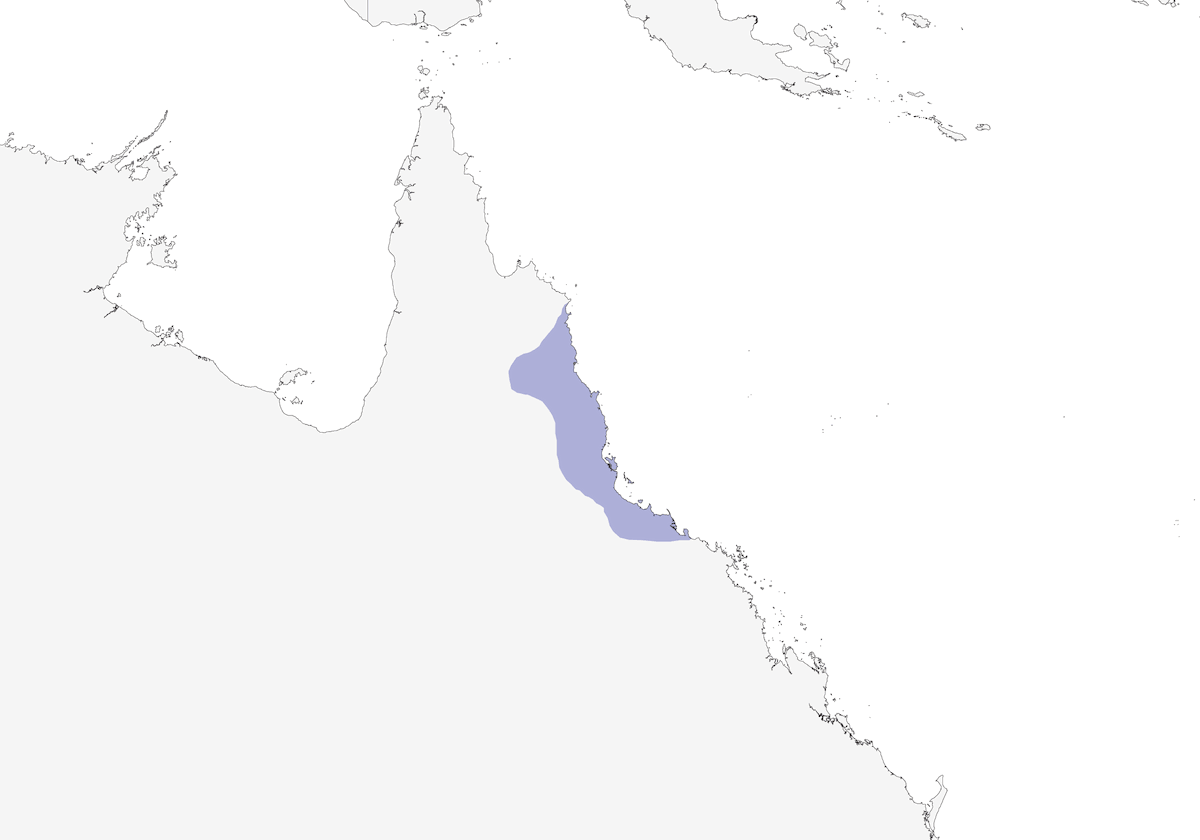 Méliphage bridé, Distribution 1