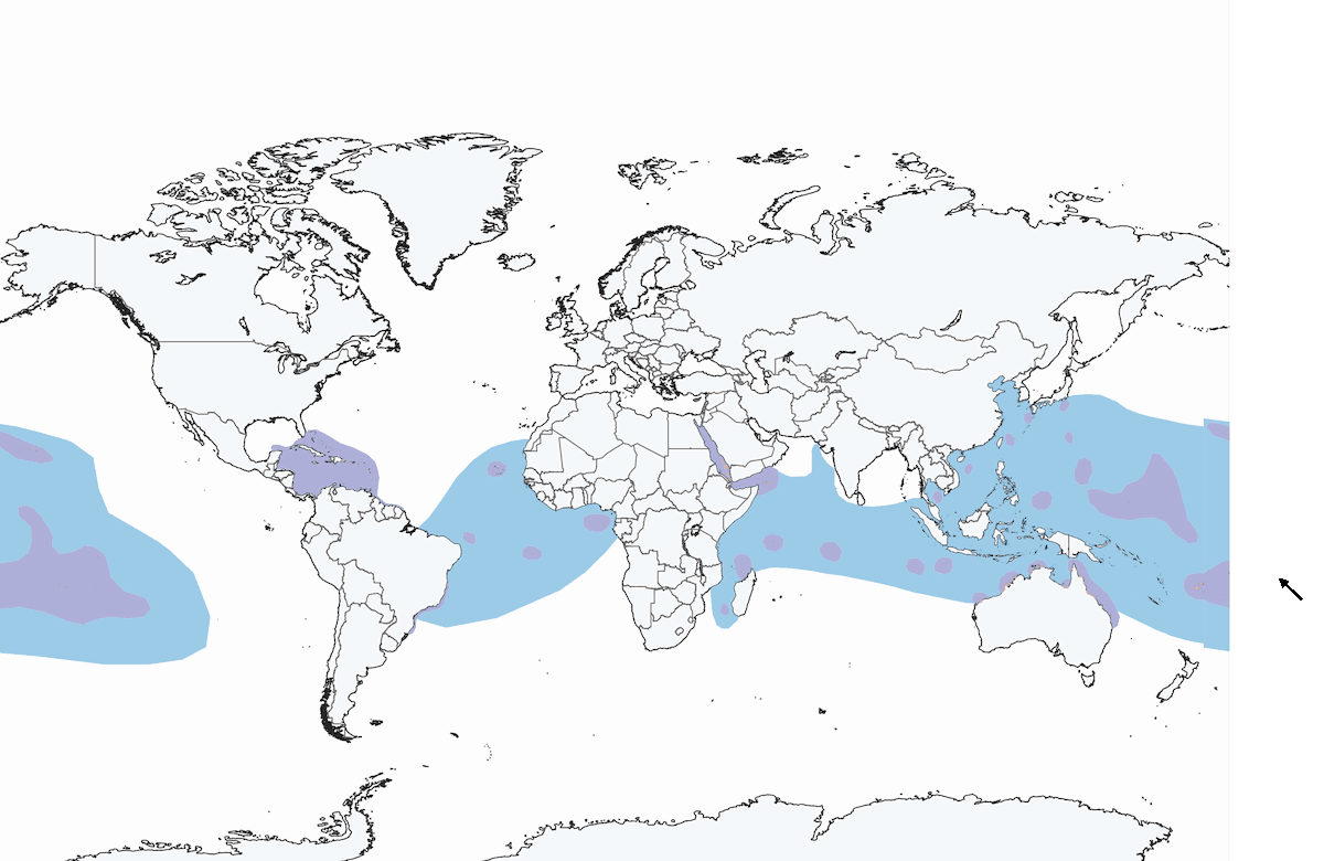 Sula marrone, Distribuzione 1