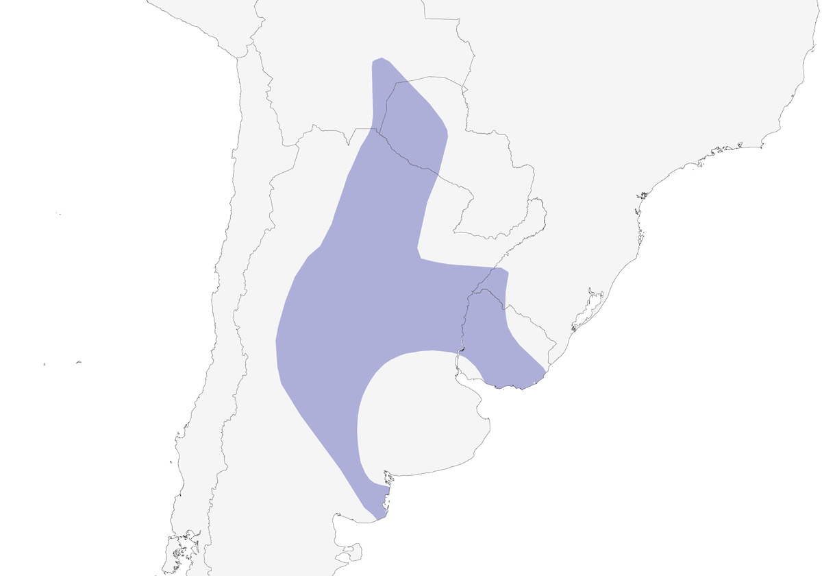 Brown Cacholote, 分布 1