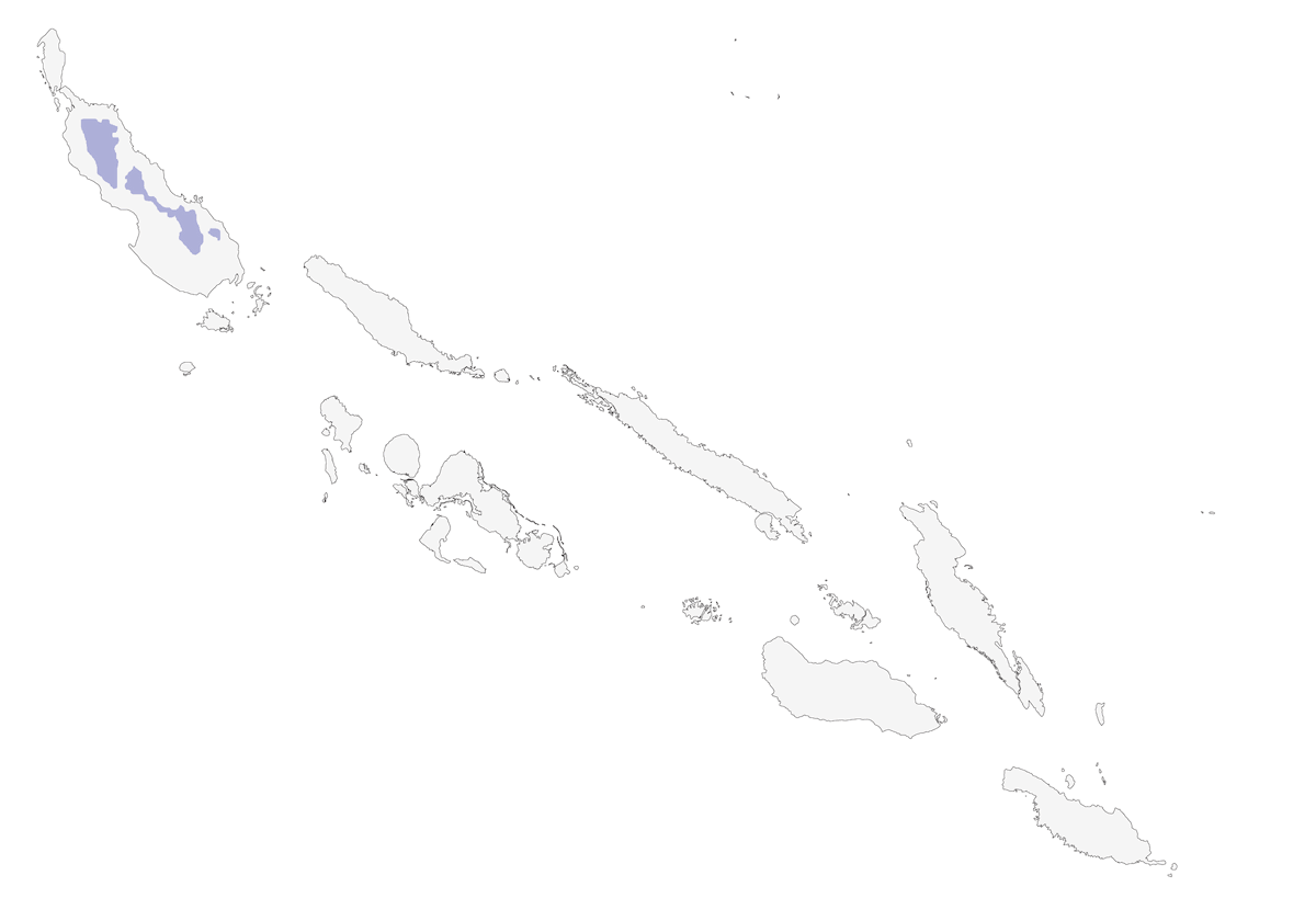 Bougainville Fantail, 分布 1