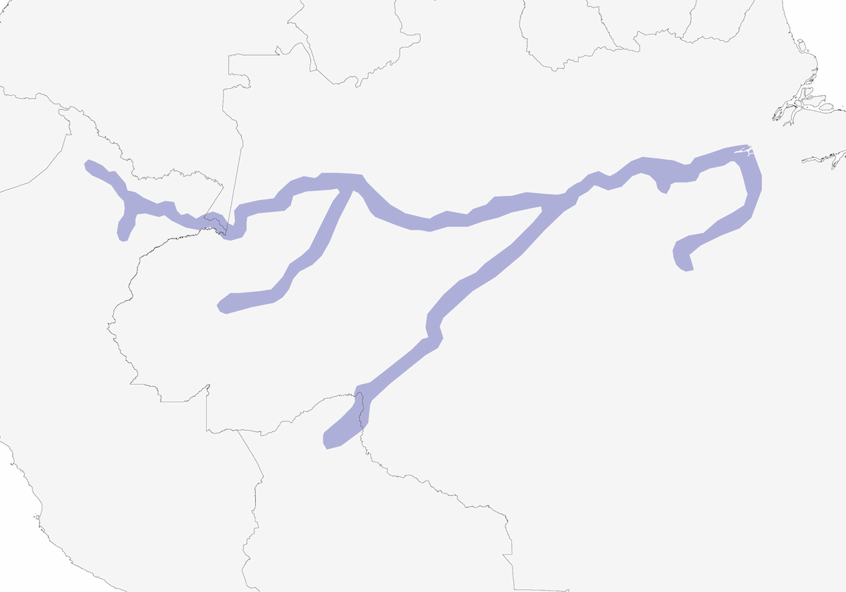 Brownish Elaenia, Distribution 1