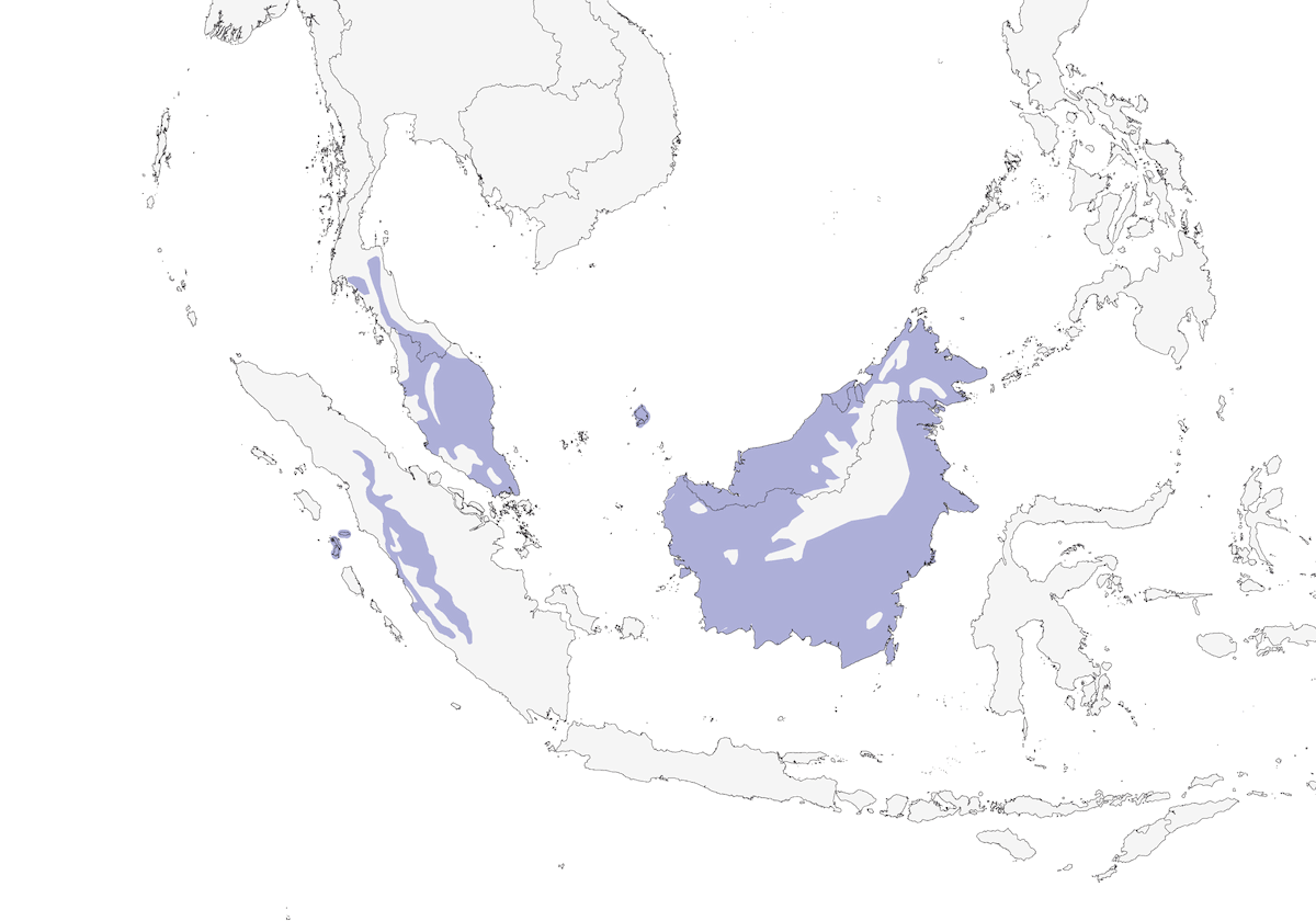Brown Fulvetta, Distribution 1