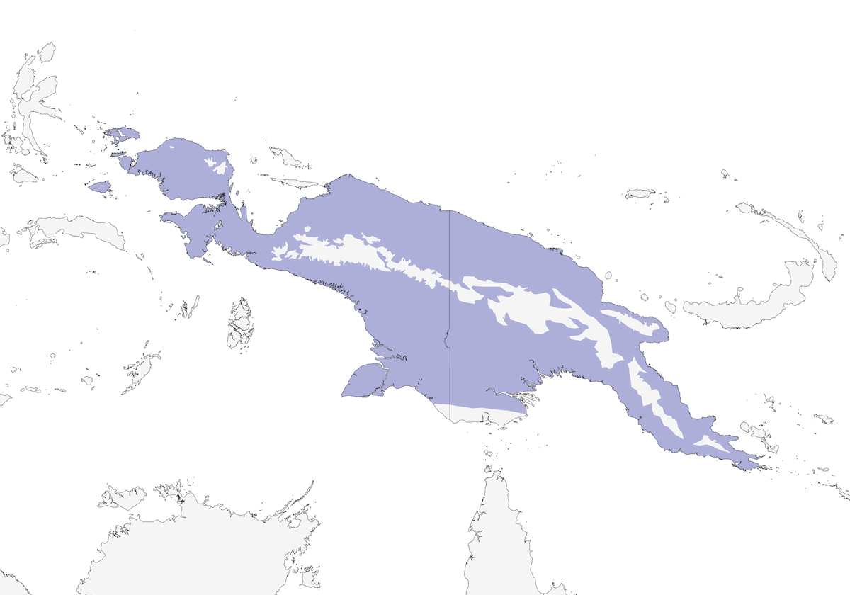 Oropéndola Parda, Distribución 1