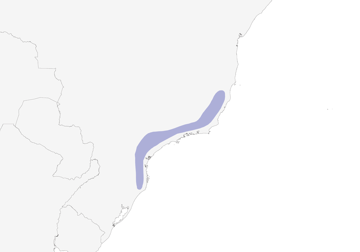 Tangara brun, Distribution 1