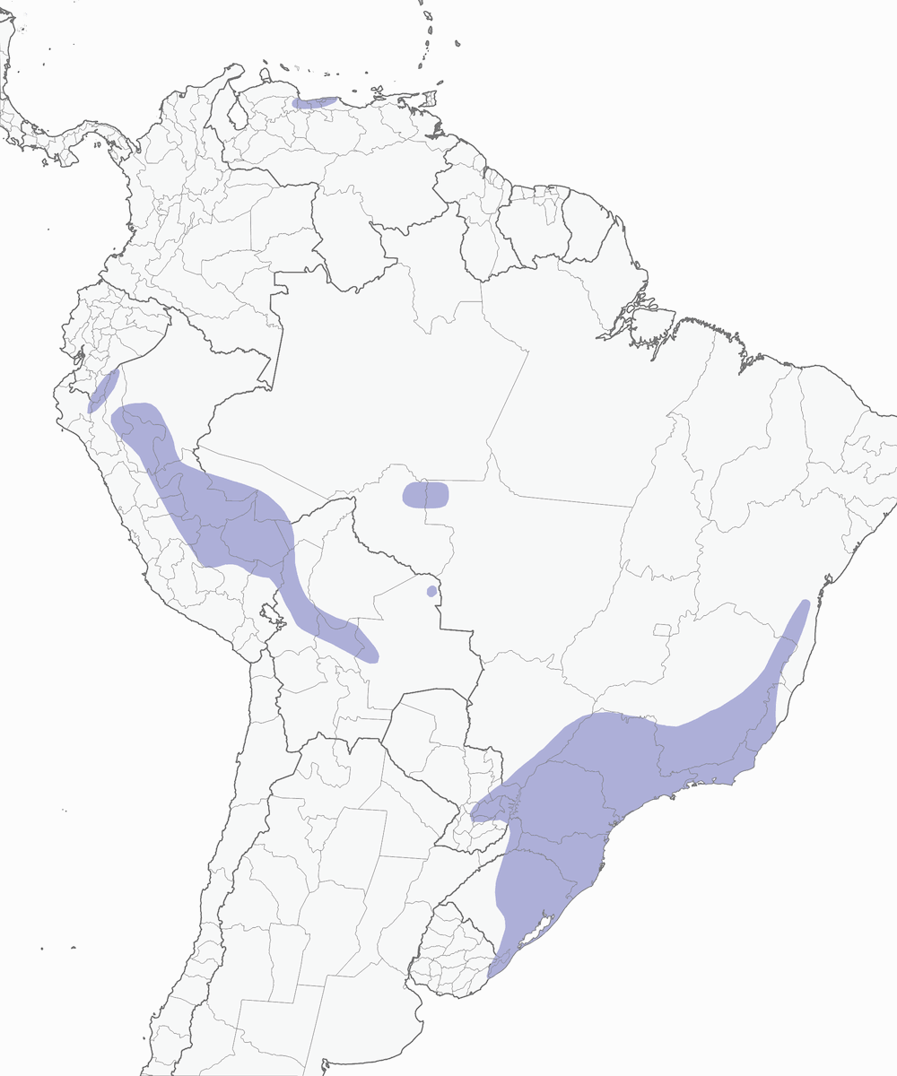 Brown Tinamou, Distribution 1