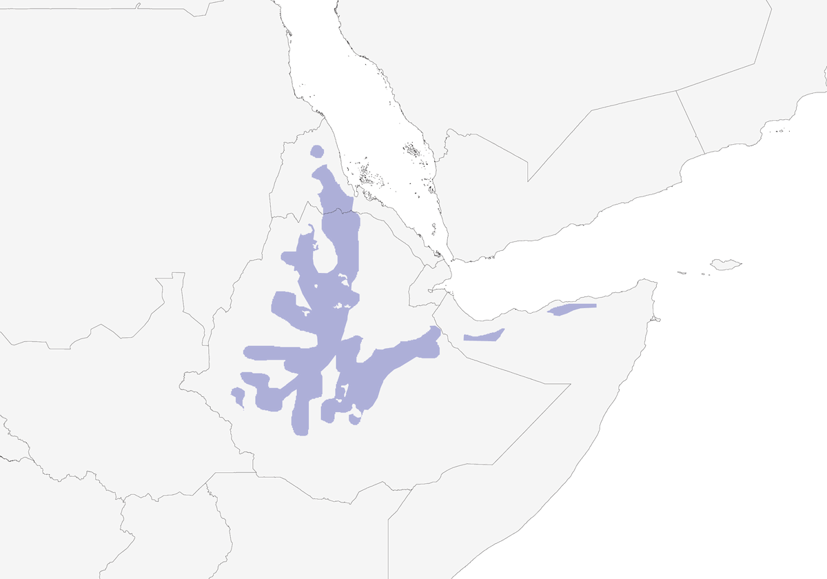 Brown-rumped Seedeater, Distribution 1