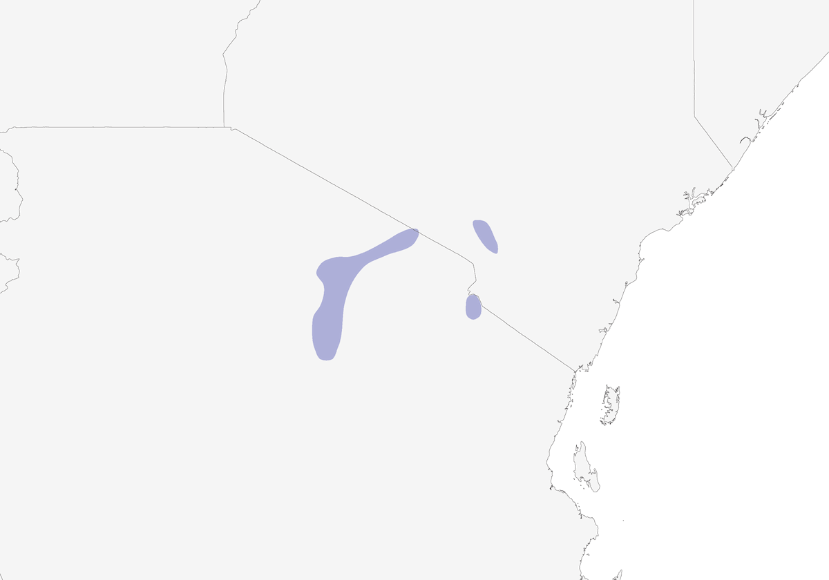 Zostérops de Mbulu, Distribution 1
