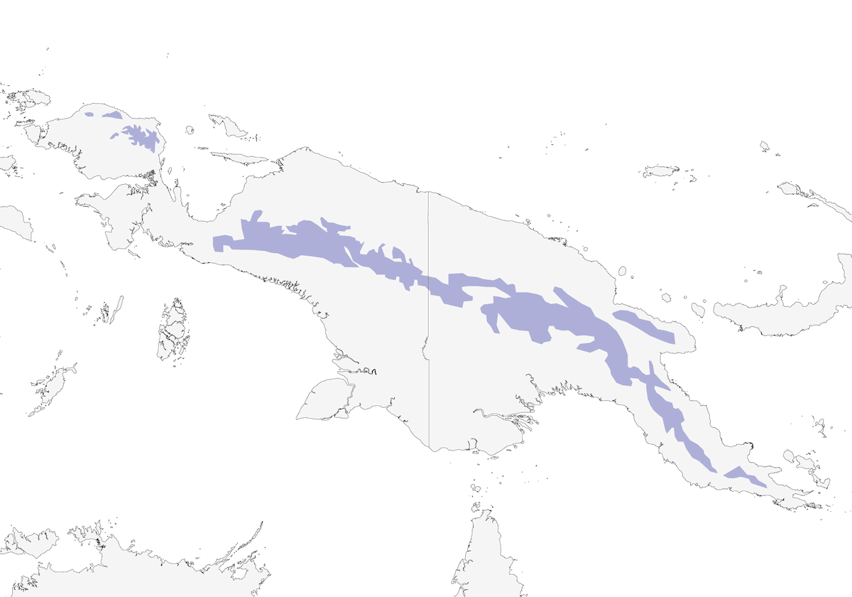 Pappagallo tigrato di Brehm, Distribuzione 1