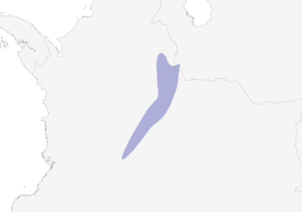 Bronze-tailed Thornbill, Distribution 1