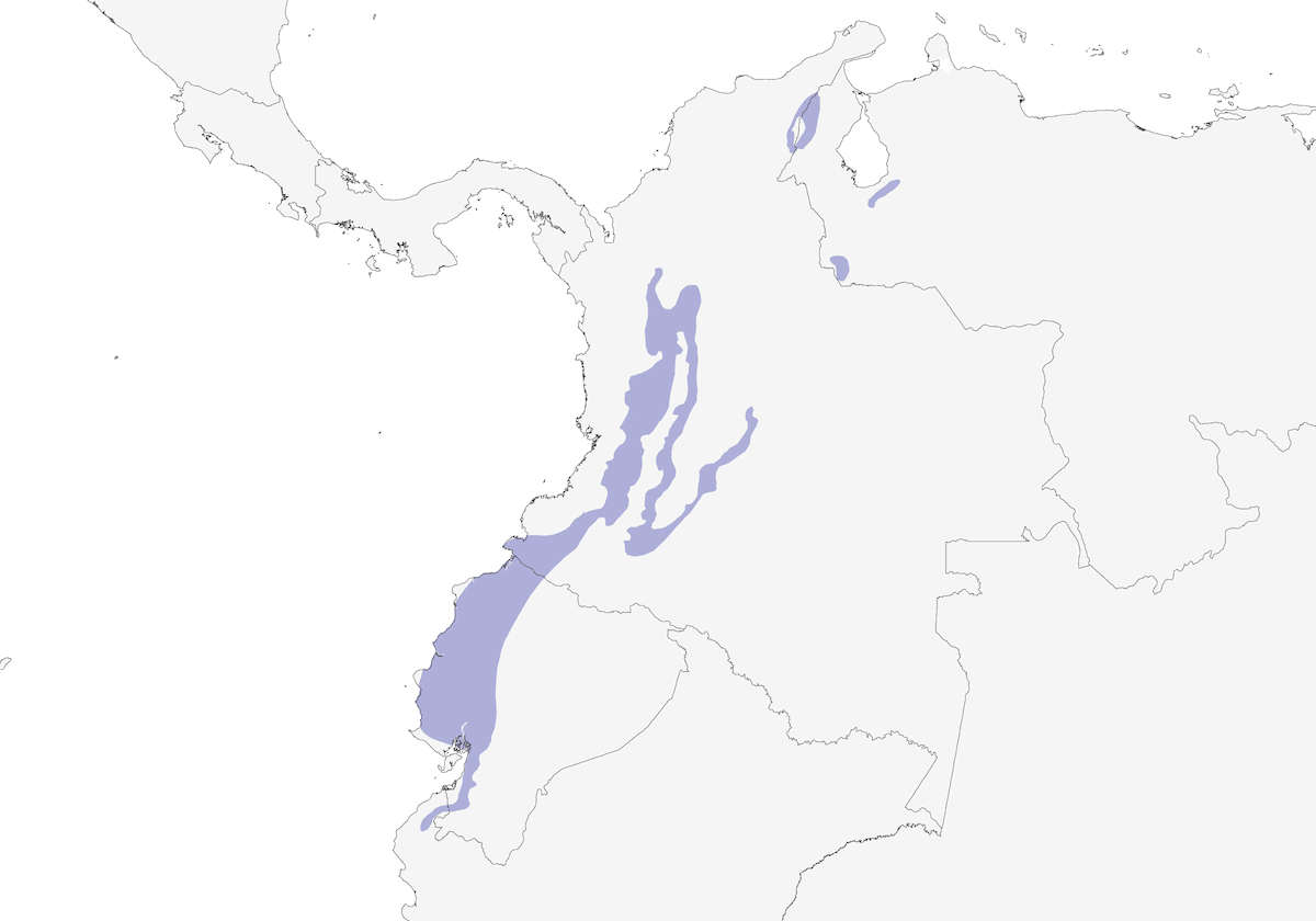 Bronze-winged Parrot, Distribution 1