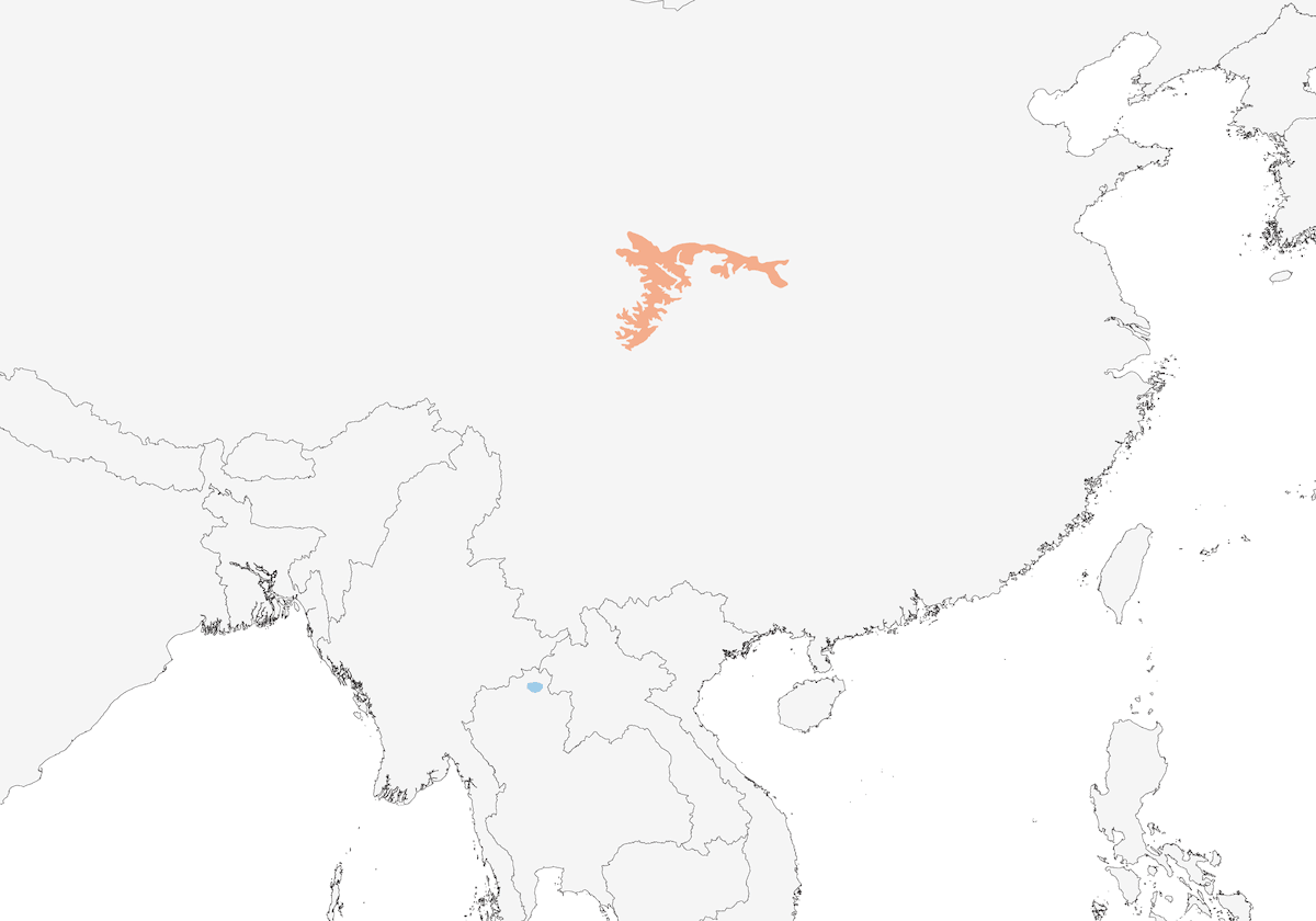 Blackthroat, 分布 1
