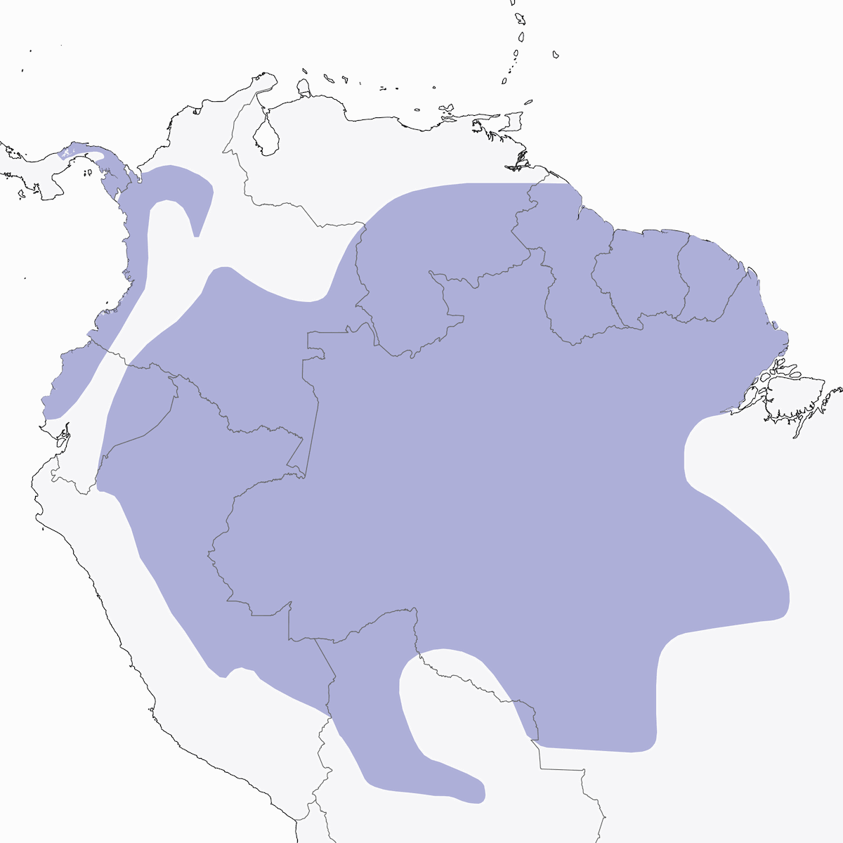 Ochre-throated Foliage-gleaner, Distribution 1