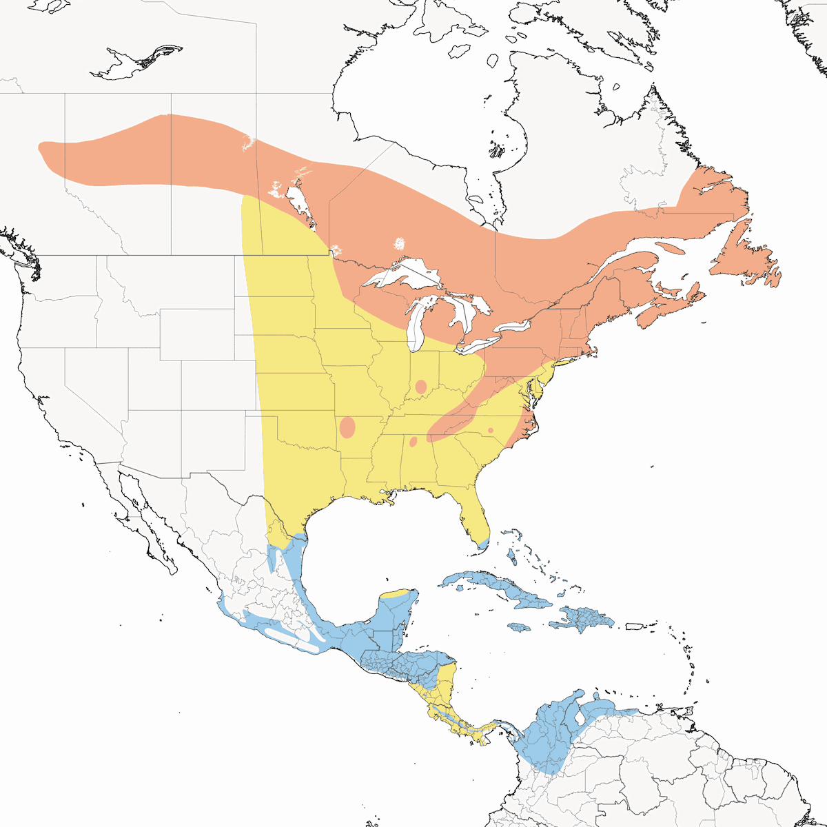 Black-throated Green Warbler, Distribution 1