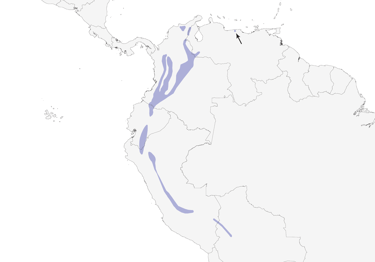 Black-throated Tody-Tyrant, Distribution 1