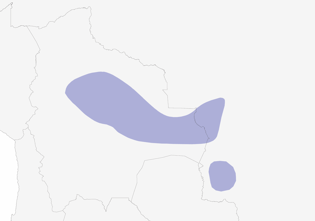 Ermitaño Ventribayo, Distribución 1