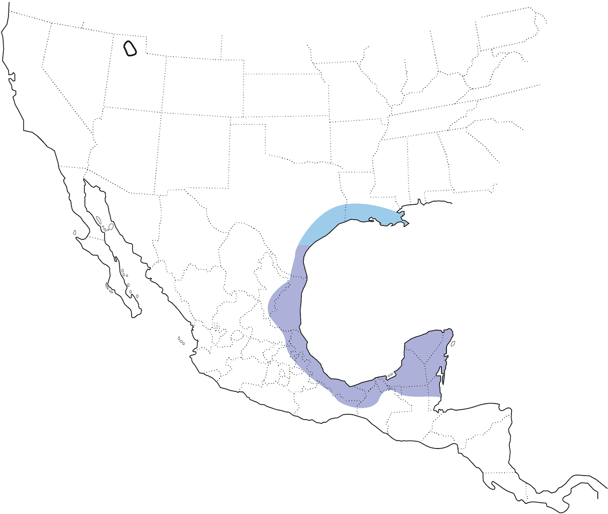 Colibrí de Vientre Leonado, Distribución 1