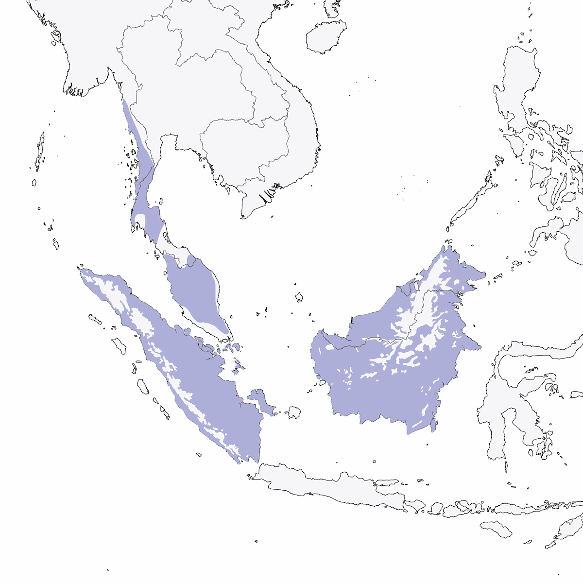 Martín Pescador Malayo de Banda Azul, Distribución 1