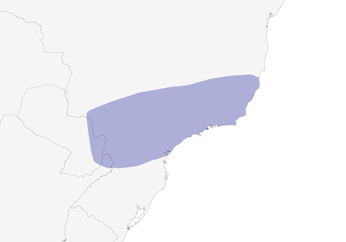 Buco de vientre leonado, Distribución 1