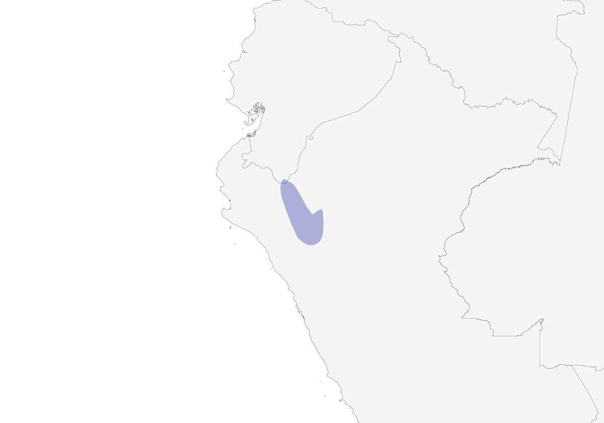 Tangara Ventrilimonada, Distribución 1