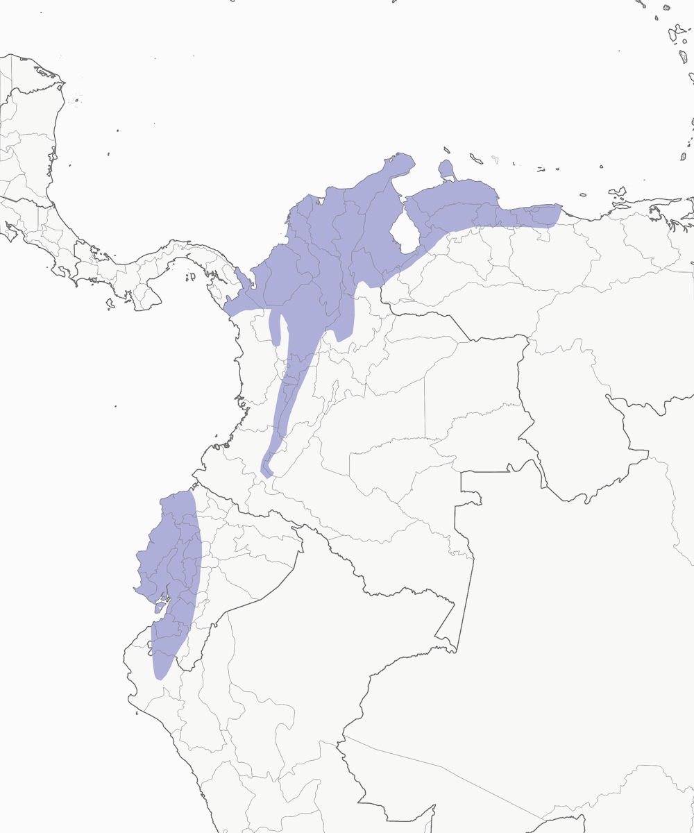 Momoto Aullador, Distribución 1