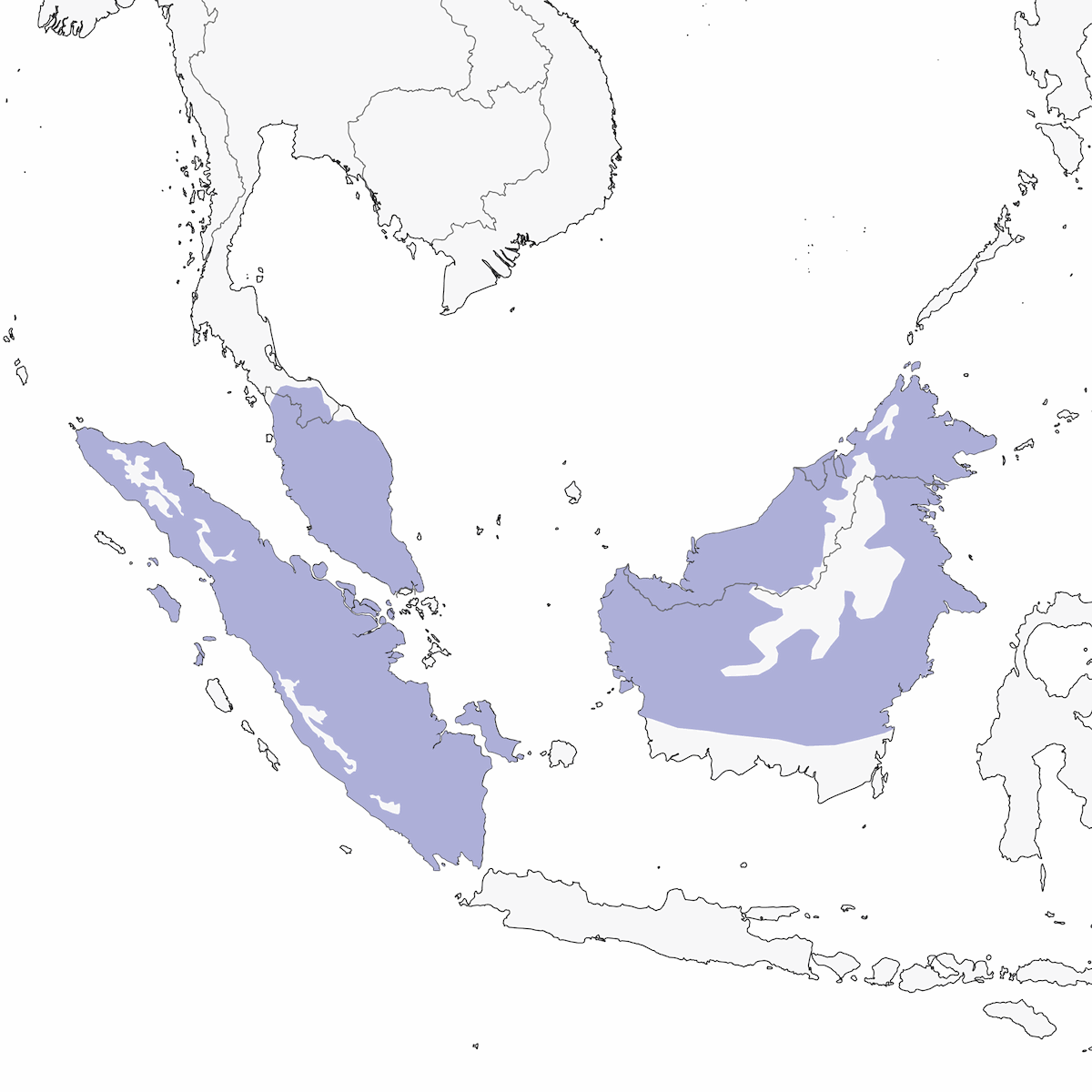 Barbudo de orejas negras, Distribución 1