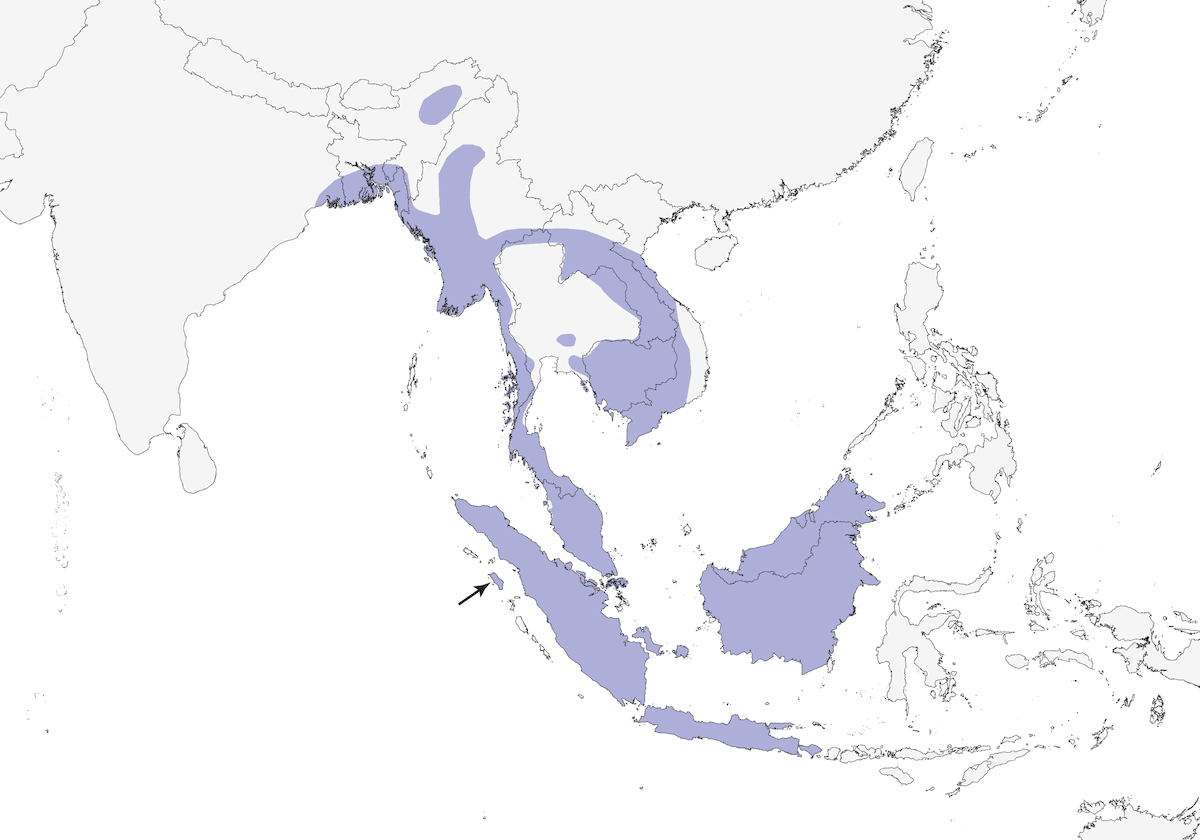 Buffy Fish-Owl, Distribution 1