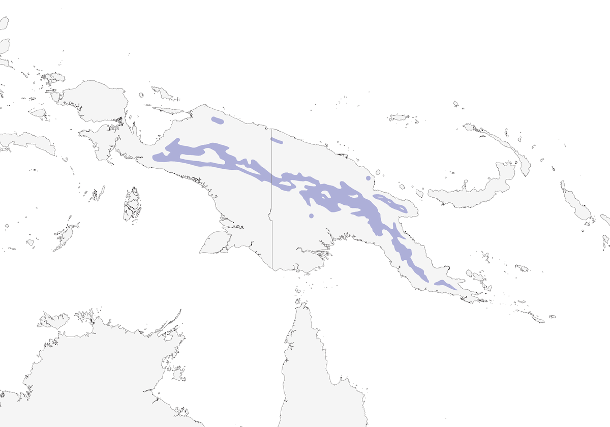 Buff-faced Scrubwren, Distribution 1