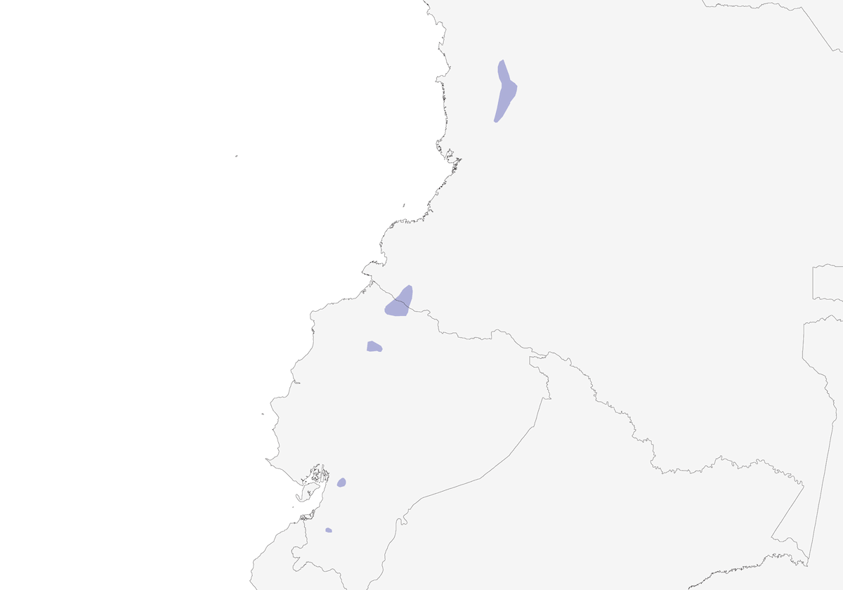 Pacific Tuftedcheek, Distribution 1