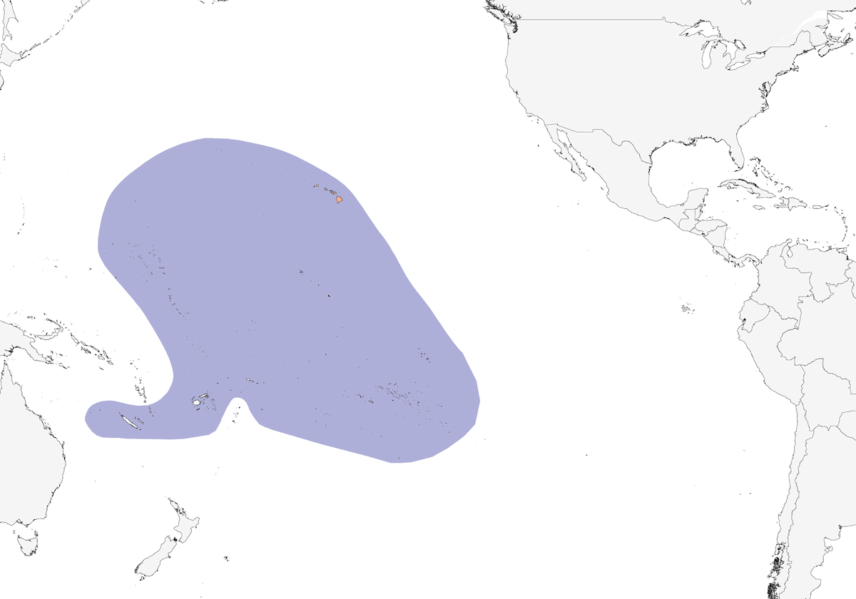Blue-gray Noddy, 分布 1