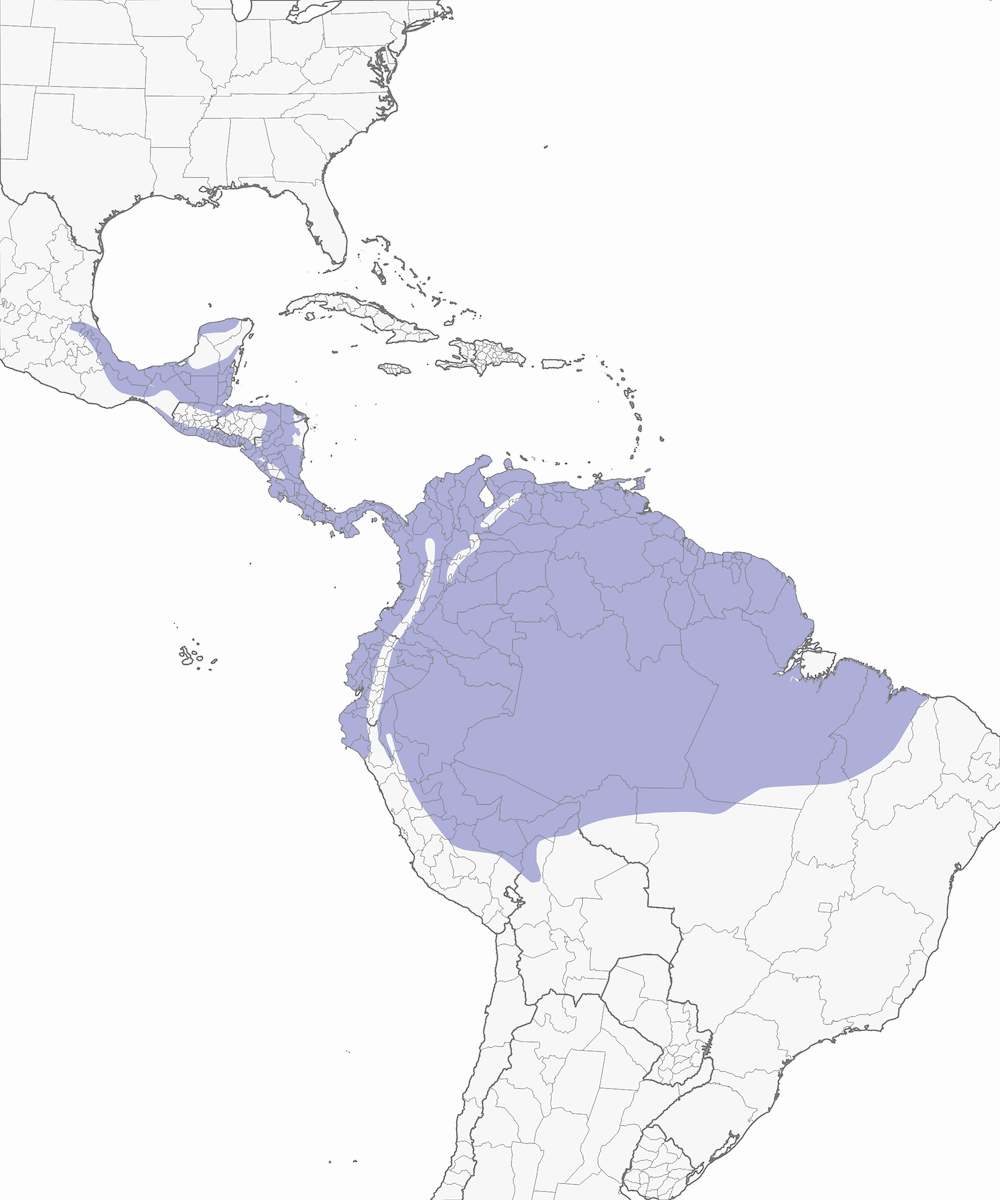 Tangara Azulgris, Distribución 1