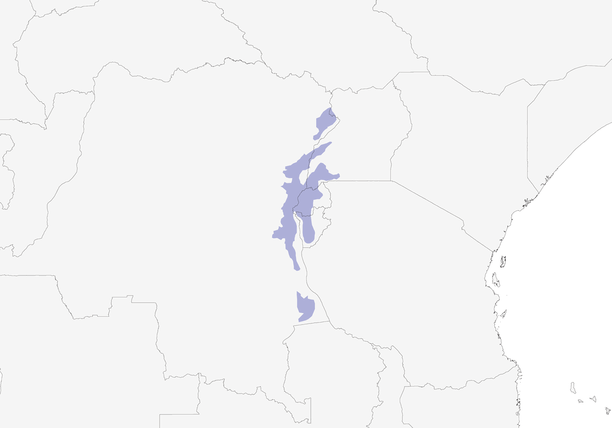 Suimanga Cabeciazul, Distribución 1