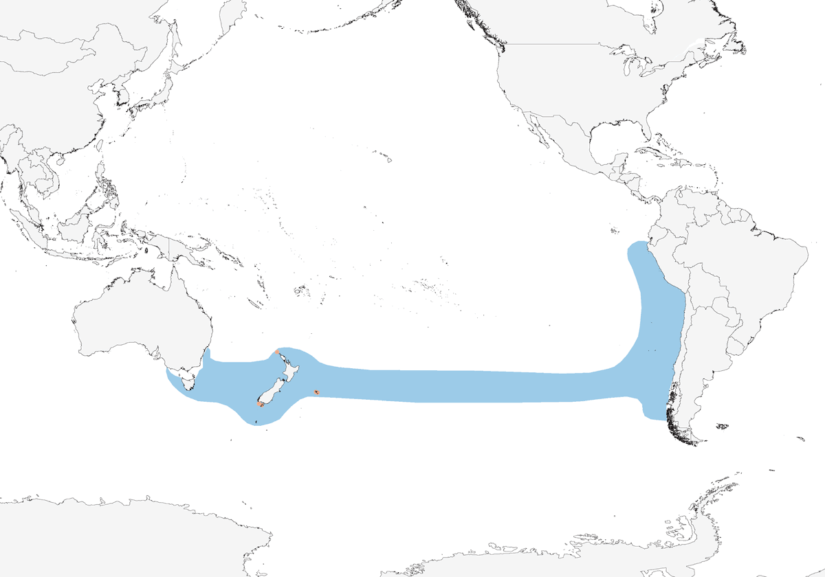 Albatros de Buller, Distribution 1