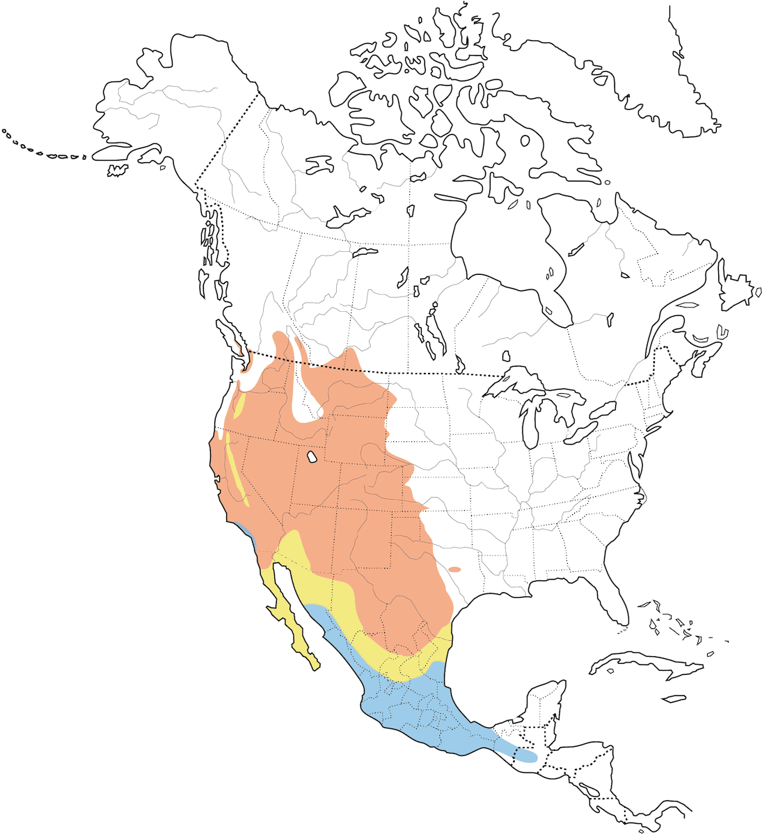 Bullock's Oriole, Distribution 1
