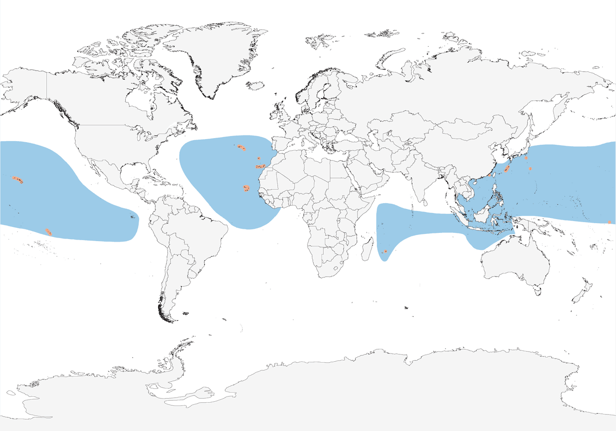Petrello di Bulwer, Distribuzione 1