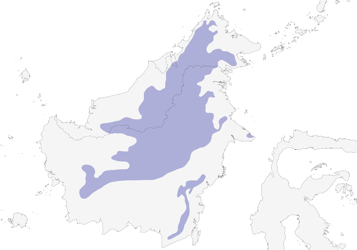 Fagiano di Bulwer, Distribuzione 1