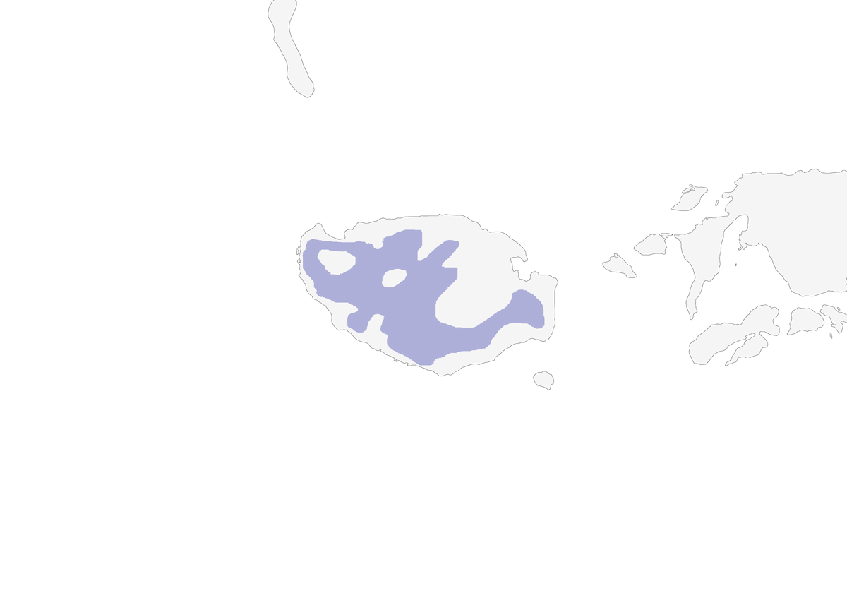 Papamoscas selvático de Buru, Distribución 1